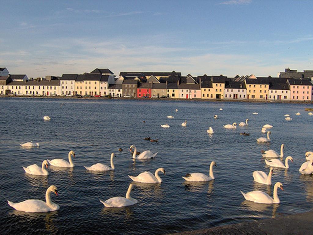 Griffin Lodge Guesthouse Galway Exterior foto
